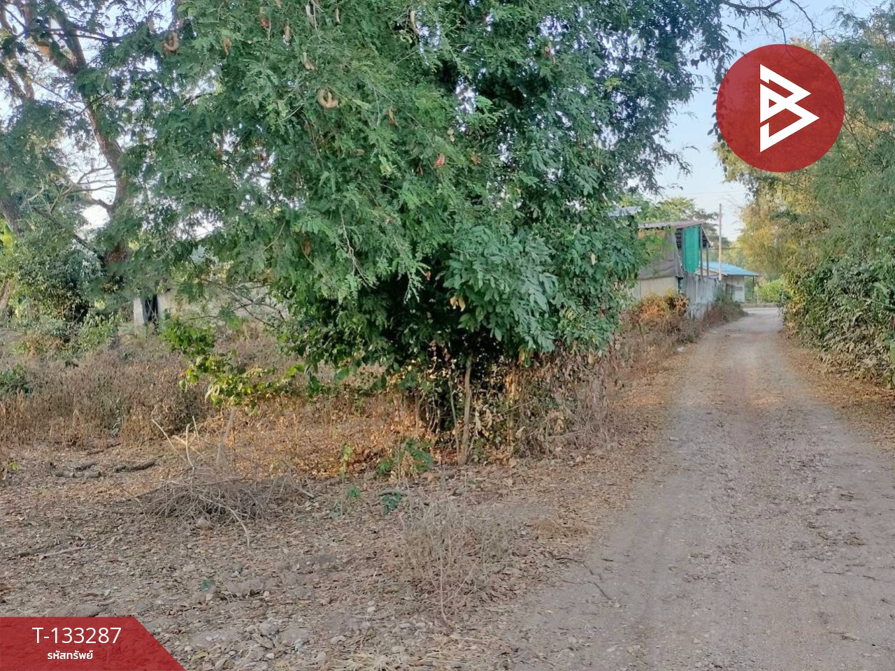 ขายที่ดินแปลงสวย เนื้อที่ 2 ไร่ 3 งาน 21 ตารางวา บ้านดอน พิษณุโลก ราคาถูก 5