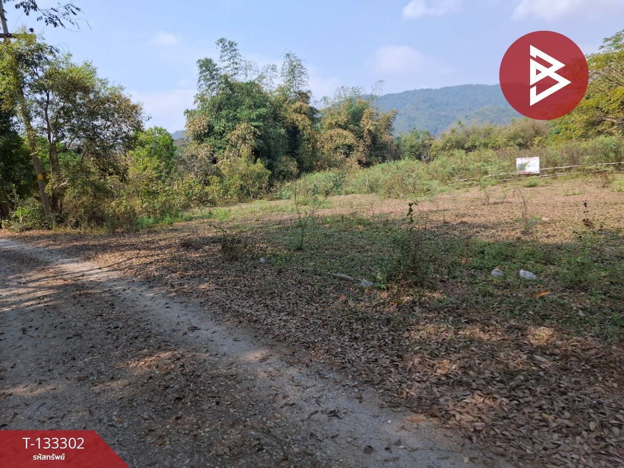 ขายที่ดิน 200 ตารางวา ต.บ้านดู่ เชียงราย 5