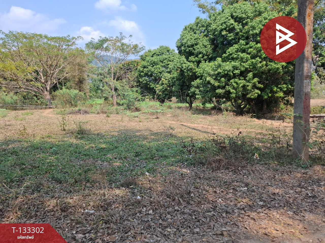 ขายที่ดิน 200 ตารางวา ต.บ้านดู่ เชียงราย 2