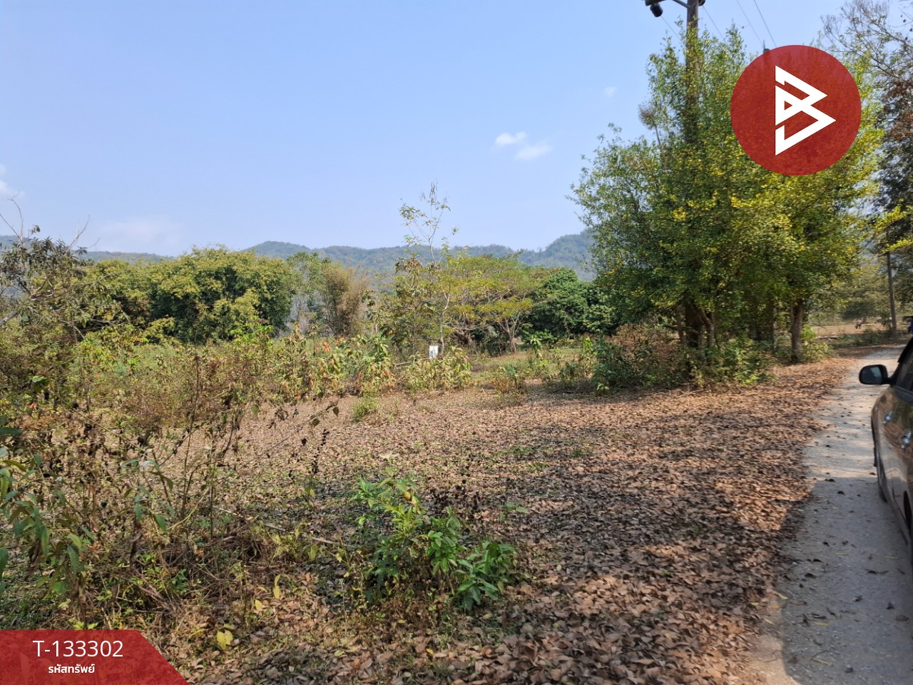 ขายที่ดิน 200 ตารางวา ต.บ้านดู่ เชียงราย 4