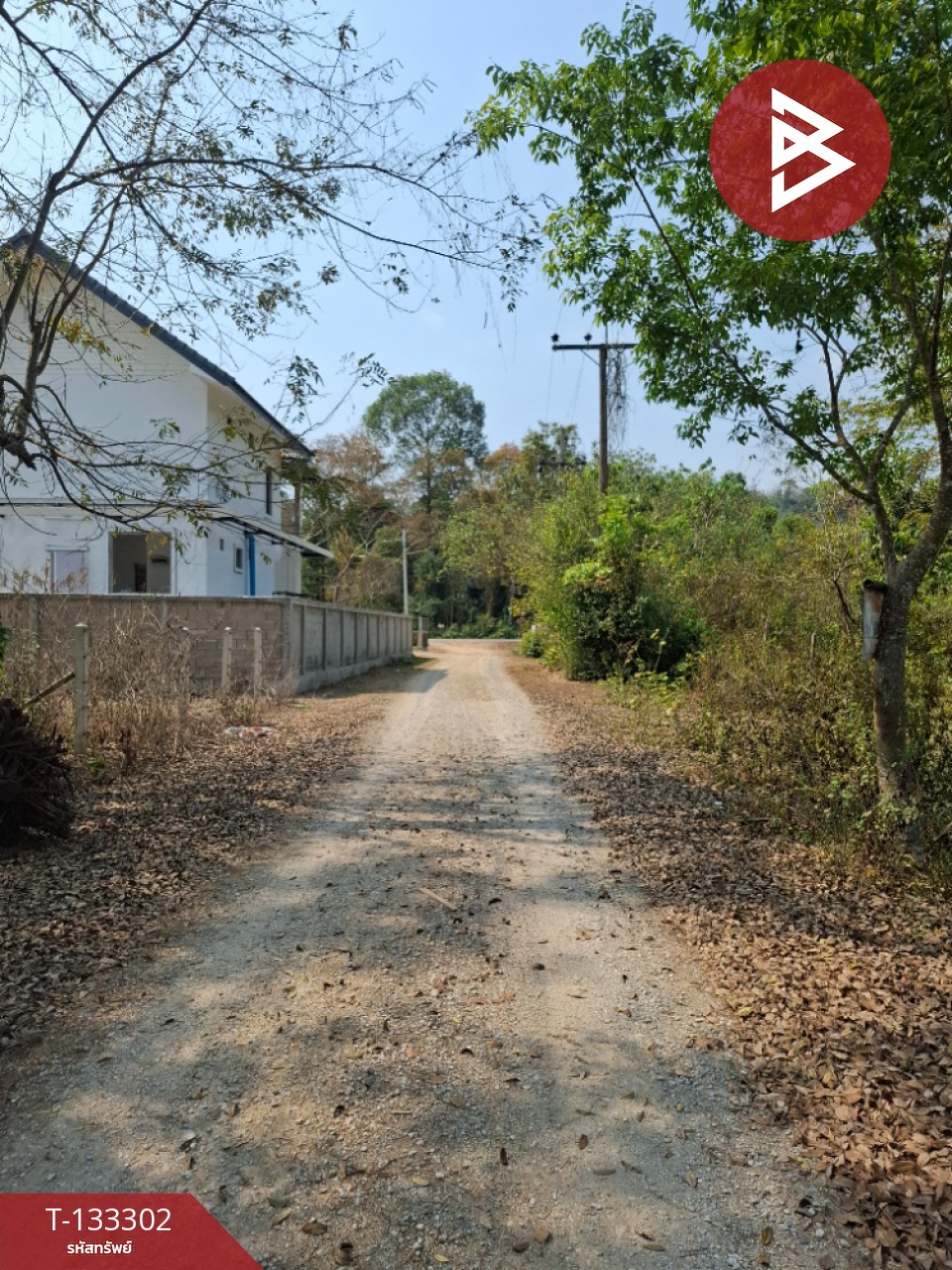 ขายที่ดิน 200 ตารางวา ต.บ้านดู่ เชียงราย 6