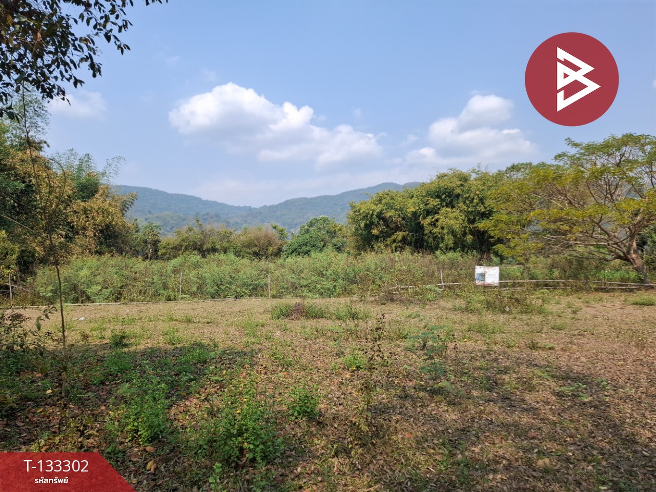 ขายที่ดิน 200 ตารางวา ต.บ้านดู่ เชียงราย 1