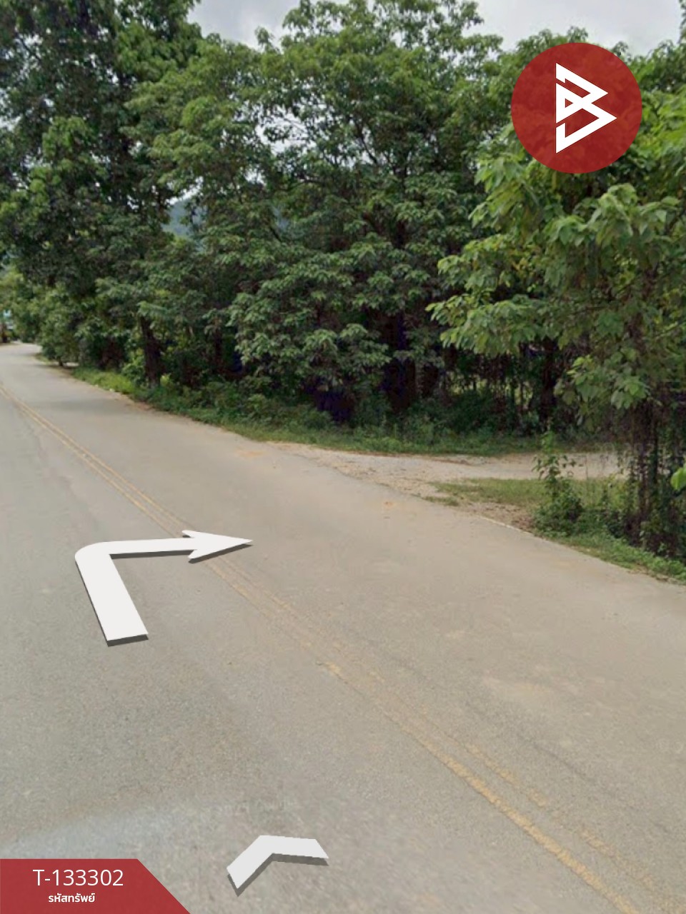 ขายที่ดิน 200 ตารางวา ต.บ้านดู่ เชียงราย 8