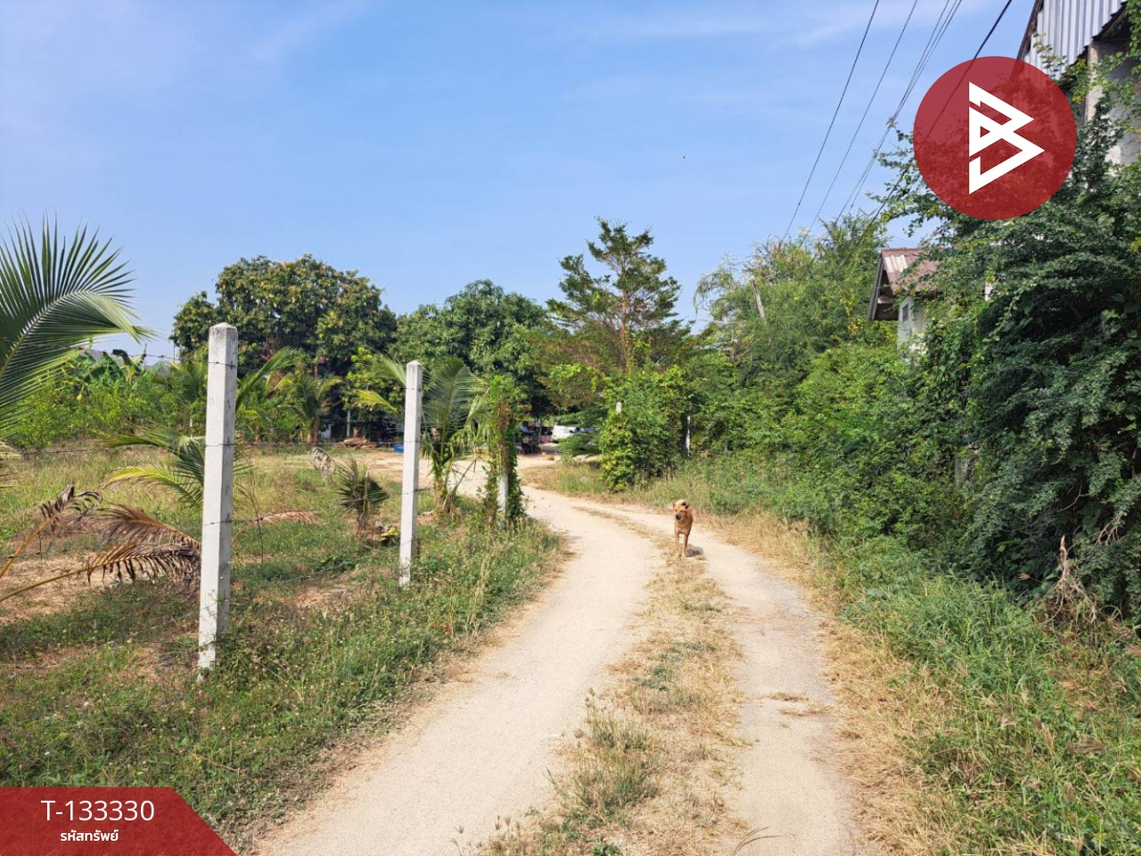 ขายที่ดินเปล่า เนื้อที่ 344.1 ตารางวา บ้านกล้วย เมืองชัยนาท 9