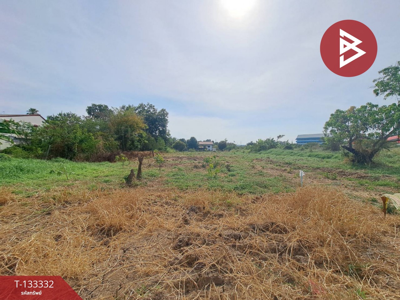 ขายที่ดินเปล่า เนื้อที่ 87.2 ตารางวา บ้านกล้วย เมืองชัยนาท 6