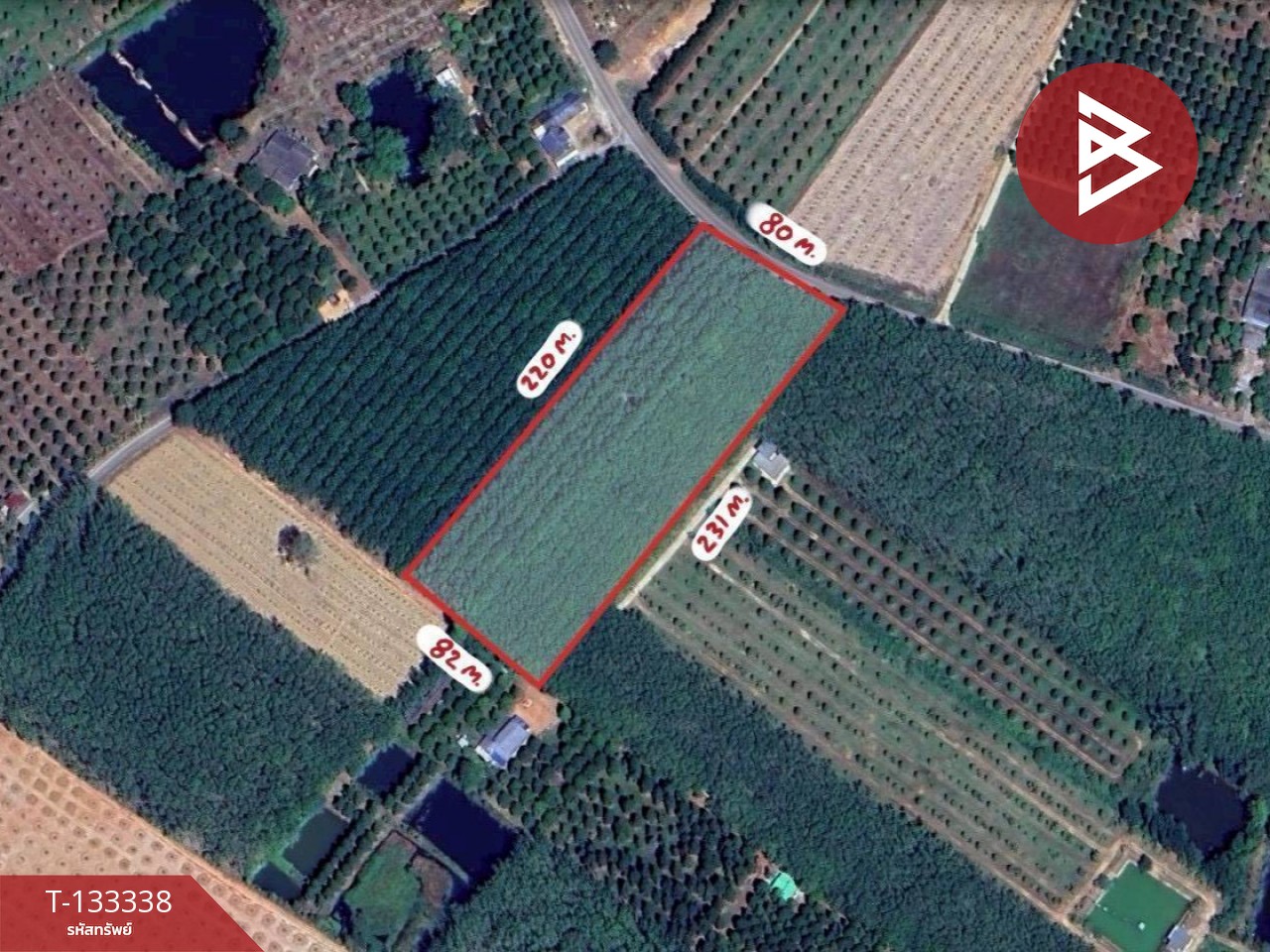 ขายที่ดิน เนื้อที่ 11 ไร่ 2 งาน 53 ตร.วา แกลง ระยอง 8