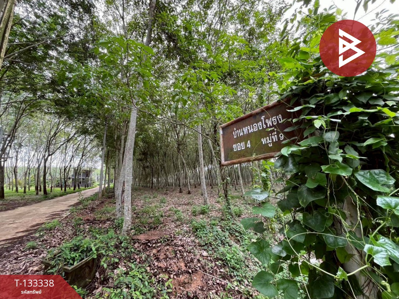 ขายที่ดิน เนื้อที่ 11 ไร่ 2 งาน 53 ตร.วา แกลง ระยอง 5