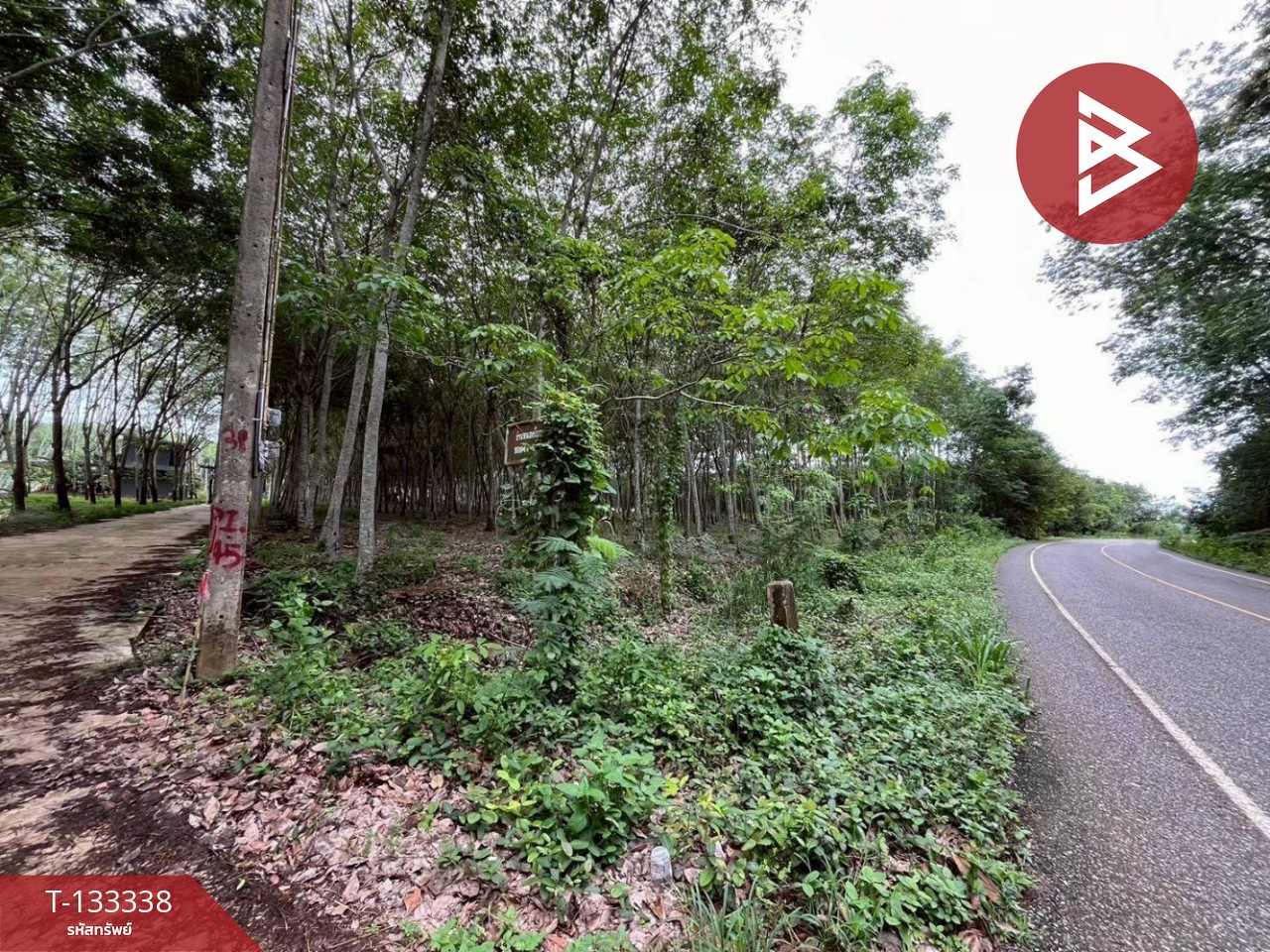 ขายที่ดิน เนื้อที่ 11 ไร่ 2 งาน 53 ตร.วา แกลง ระยอง 2