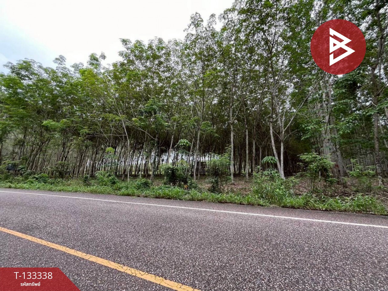 ขายที่ดิน เนื้อที่ 11 ไร่ 2 งาน 53 ตร.วา แกลง ระยอง 6