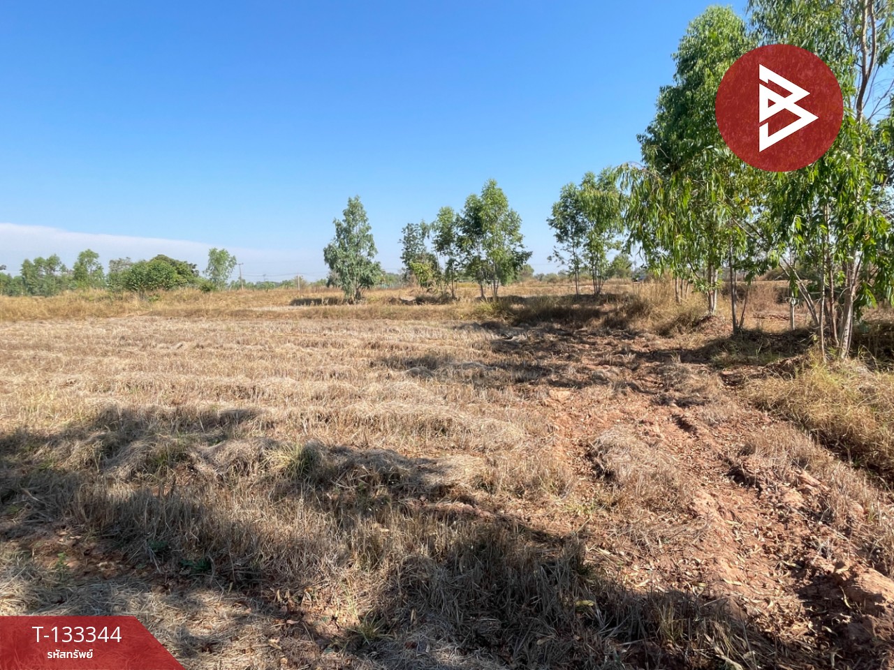 ขายที่ดิน เนื้อที่ 3 ไร่ 2 งาน 72.5 ตารางวา อ.ม่วงสามสิบ อุบลราชธานี ติดถนน 4