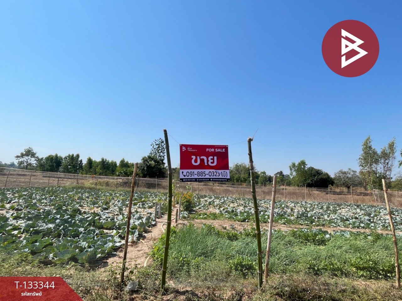 ขายที่ดิน เนื้อที่ 3 ไร่ 2 งาน 72.5 ตารางวา อ.ม่วงสามสิบ อุบลราชธานี ติดถนน 1