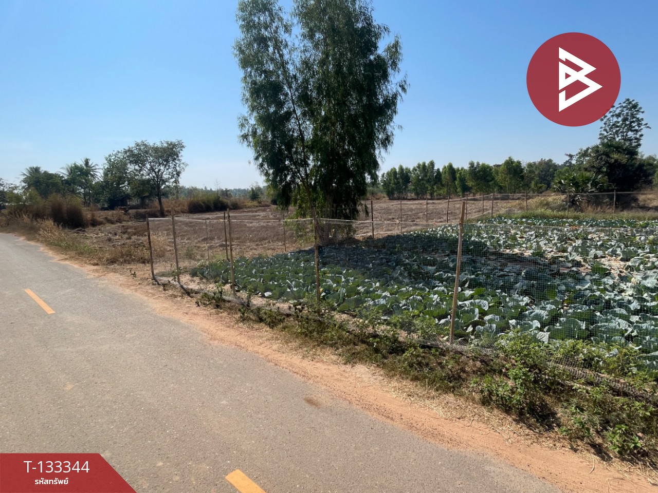 ขายที่ดิน เนื้อที่ 3 ไร่ 2 งาน 72.5 ตารางวา อ.ม่วงสามสิบ อุบลราชธานี ติดถนน 5