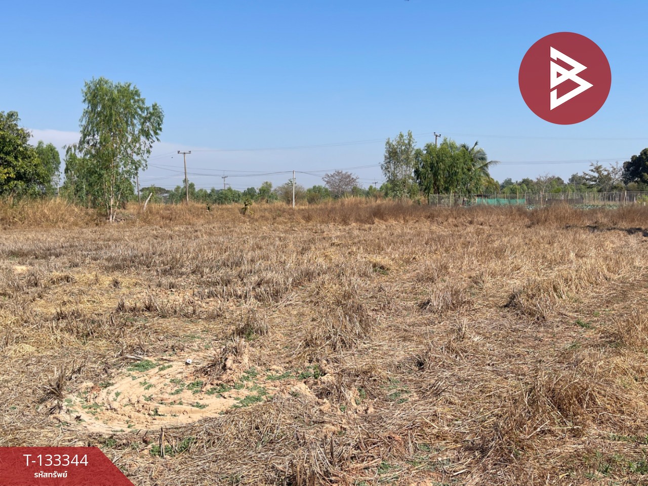 ขายที่ดิน เนื้อที่ 3 ไร่ 2 งาน 72.5 ตารางวา อ.ม่วงสามสิบ อุบลราชธานี ติดถนน 3