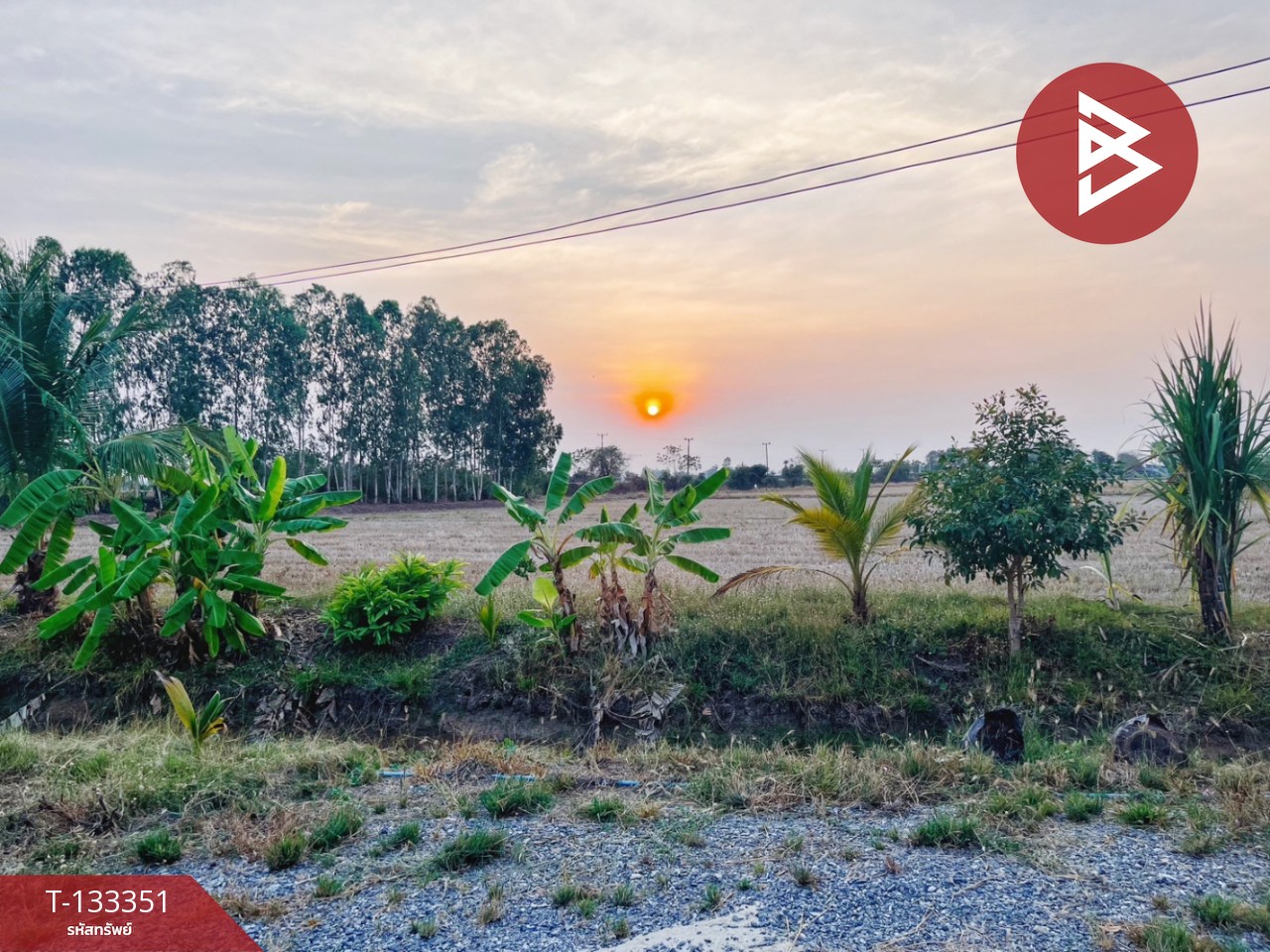 ขายบ้านเดี่ยวพร้อมที่ดิน เนื้อที่ 2 ไร่ 1 งาน 81 ตร.วา หนองหญ้าไซ สุพรรณบุรี 13