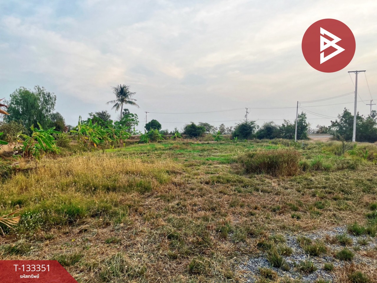 ขายบ้านเดี่ยวพร้อมที่ดิน เนื้อที่ 2 ไร่ 1 งาน 81 ตร.วา หนองหญ้าไซ สุพรรณบุรี 12