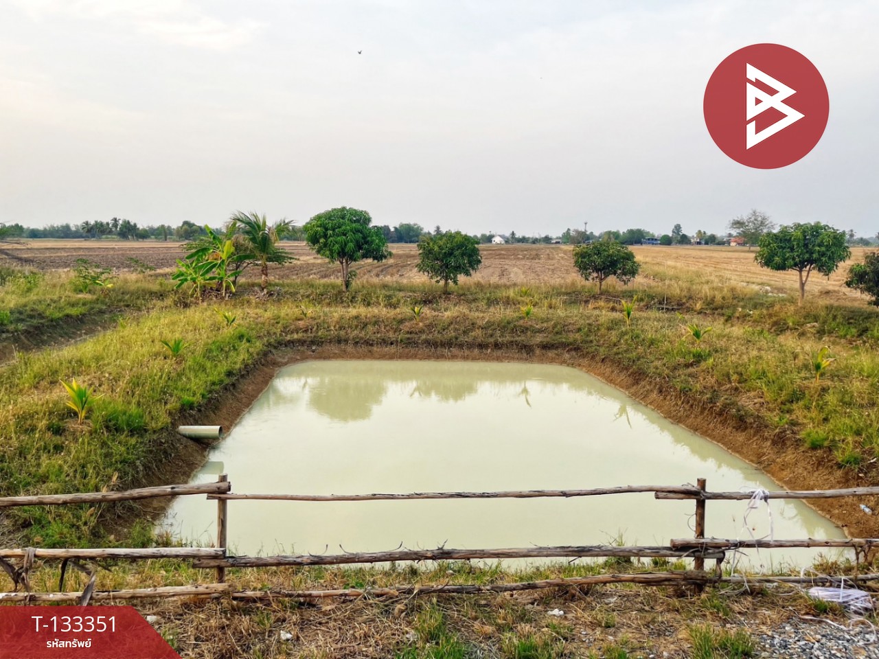 ขายบ้านเดี่ยวพร้อมที่ดิน เนื้อที่ 2 ไร่ 1 งาน 81 ตร.วา หนองหญ้าไซ สุพรรณบุรี 10