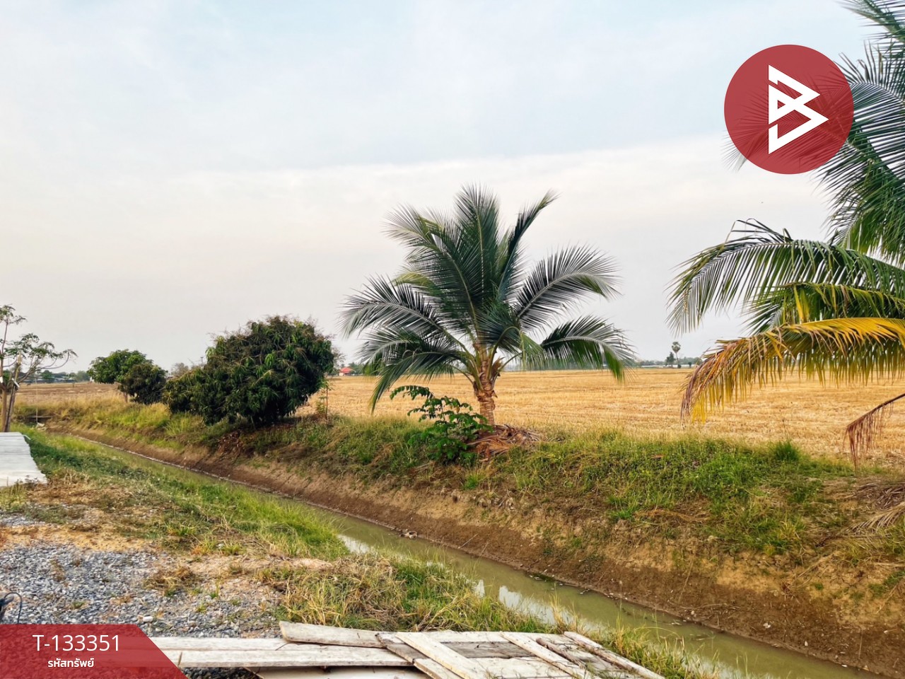 ขายบ้านเดี่ยวพร้อมที่ดิน เนื้อที่ 2 ไร่ 1 งาน 81 ตร.วา หนองหญ้าไซ สุพรรณบุรี 11