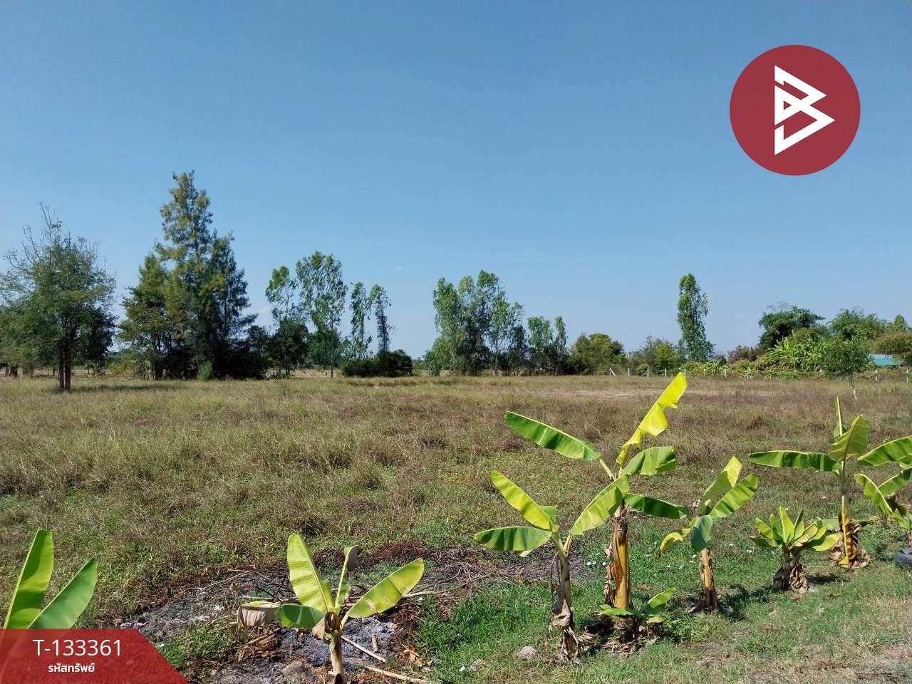 ขายที่ดิน เนื้อที่ 2 ไร่ 3 งาน 54.2 ตารางวา หนองหญ้าไซ สุพรรณบุรี ติดทางสาธารณประโยชน์ 3