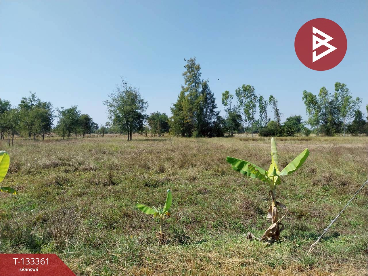 ขายที่ดิน เนื้อที่ 2 ไร่ 3 งาน 54.2 ตารางวา หนองหญ้าไซ สุพรรณบุรี ติดทางสาธารณประโยชน์ 2