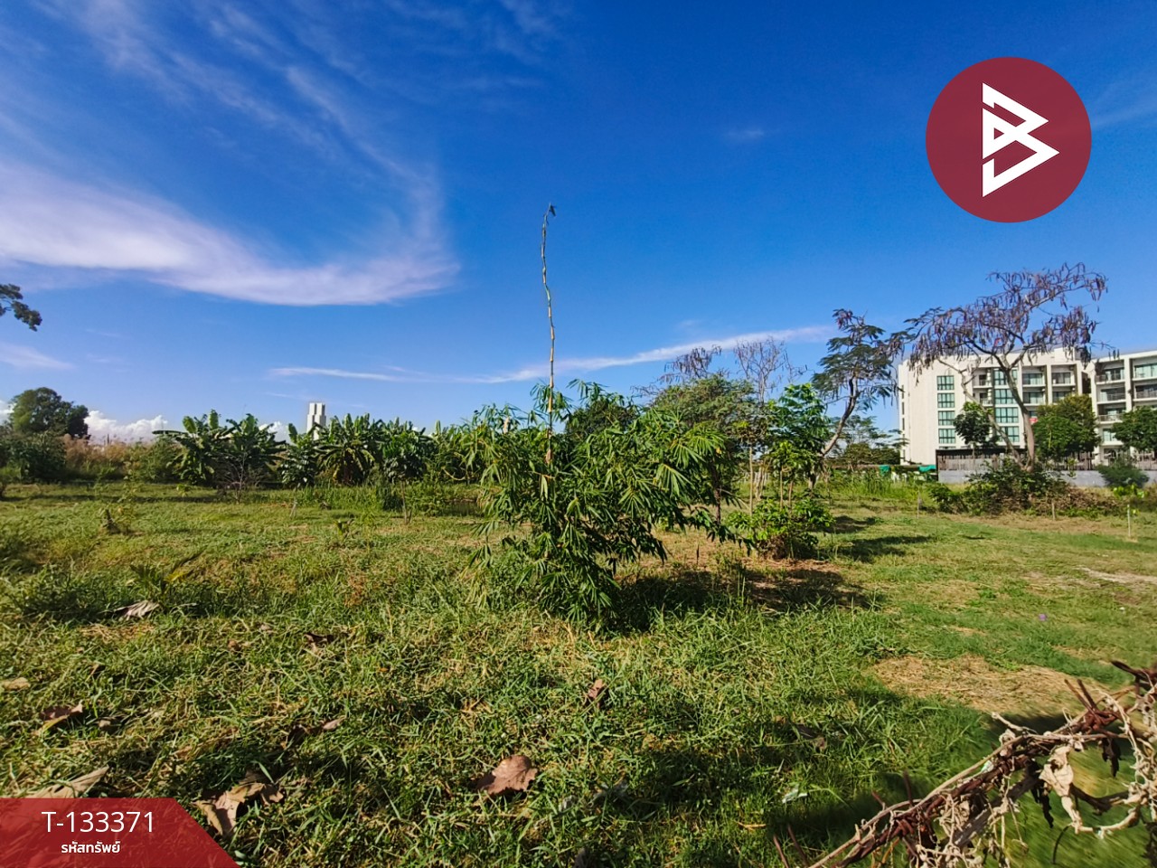 ขายที่ดิน ซ.เอแบค เนื้อที่ 2 ไร่ 3 งาน 12 ตร.วา บางบ่อ สมุทรปราการ 4