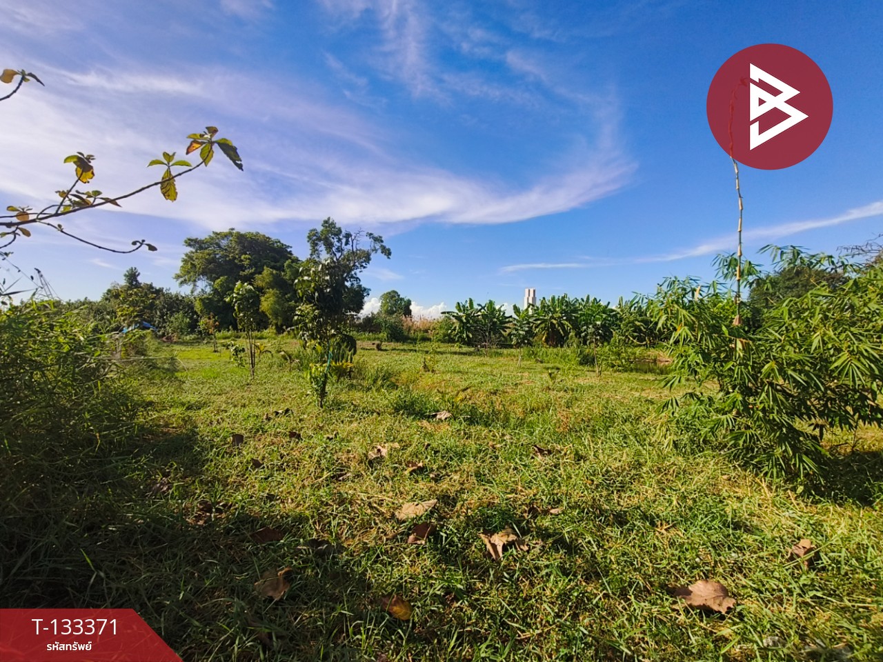 ขายที่ดิน ซ.เอแบค เนื้อที่ 2 ไร่ 3 งาน 12 ตร.วา บางบ่อ สมุทรปราการ 5