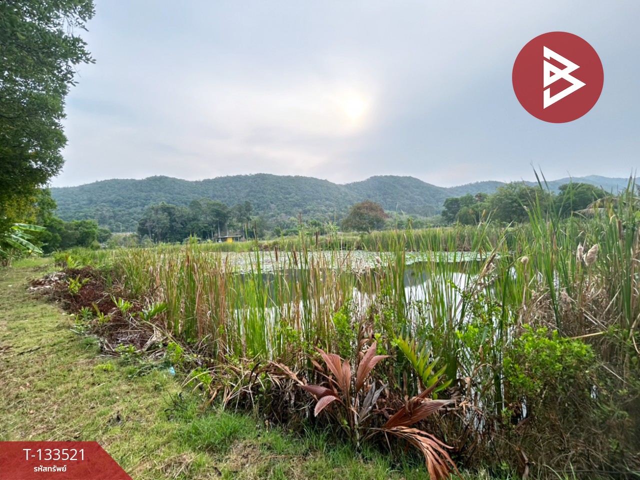 ขายที่ดินพร้อมสิ่งปลูกสร้าง เนื้อที่ 2 ไร่ 3 งาน 41 ตร.วา ท่าใหม่ จันทบุรี 8