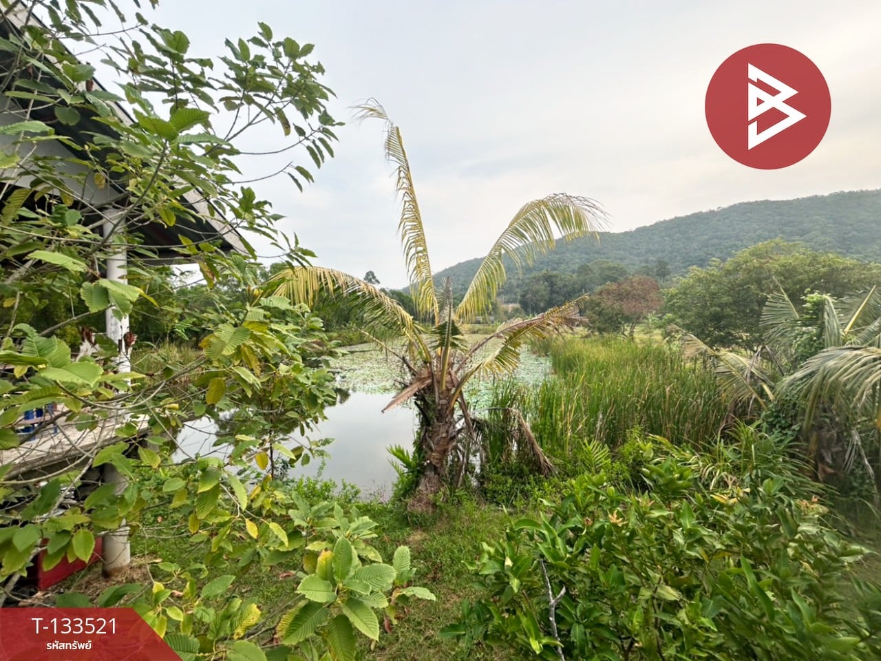 ขายที่ดินพร้อมสิ่งปลูกสร้าง เนื้อที่ 2 ไร่ 3 งาน 41 ตร.วา ท่าใหม่ จันทบุรี 9