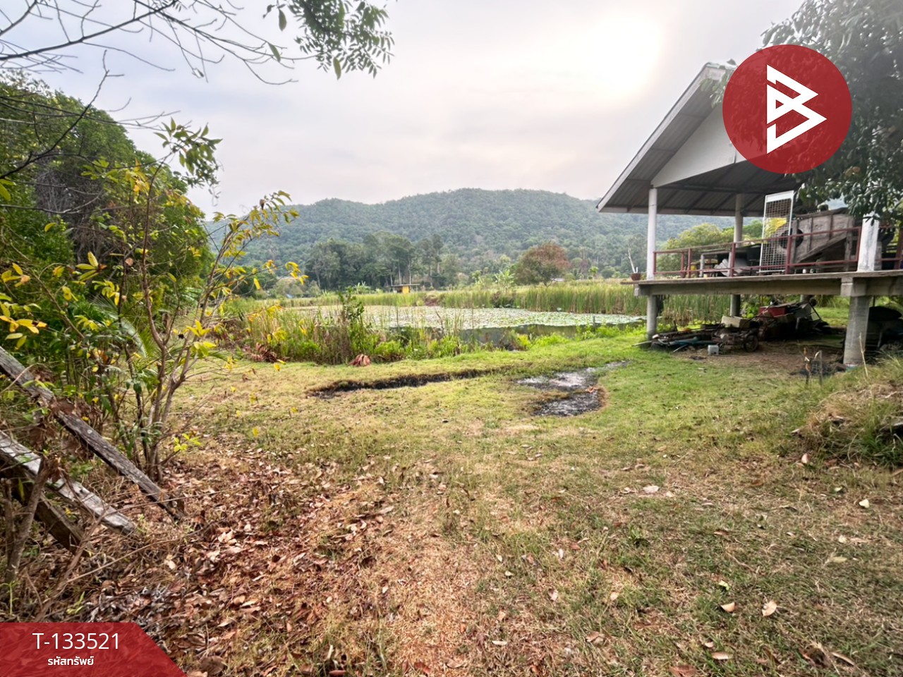 ขายที่ดินพร้อมสิ่งปลูกสร้าง เนื้อที่ 2 ไร่ 3 งาน 41 ตร.วา ท่าใหม่ จันทบุรี 7