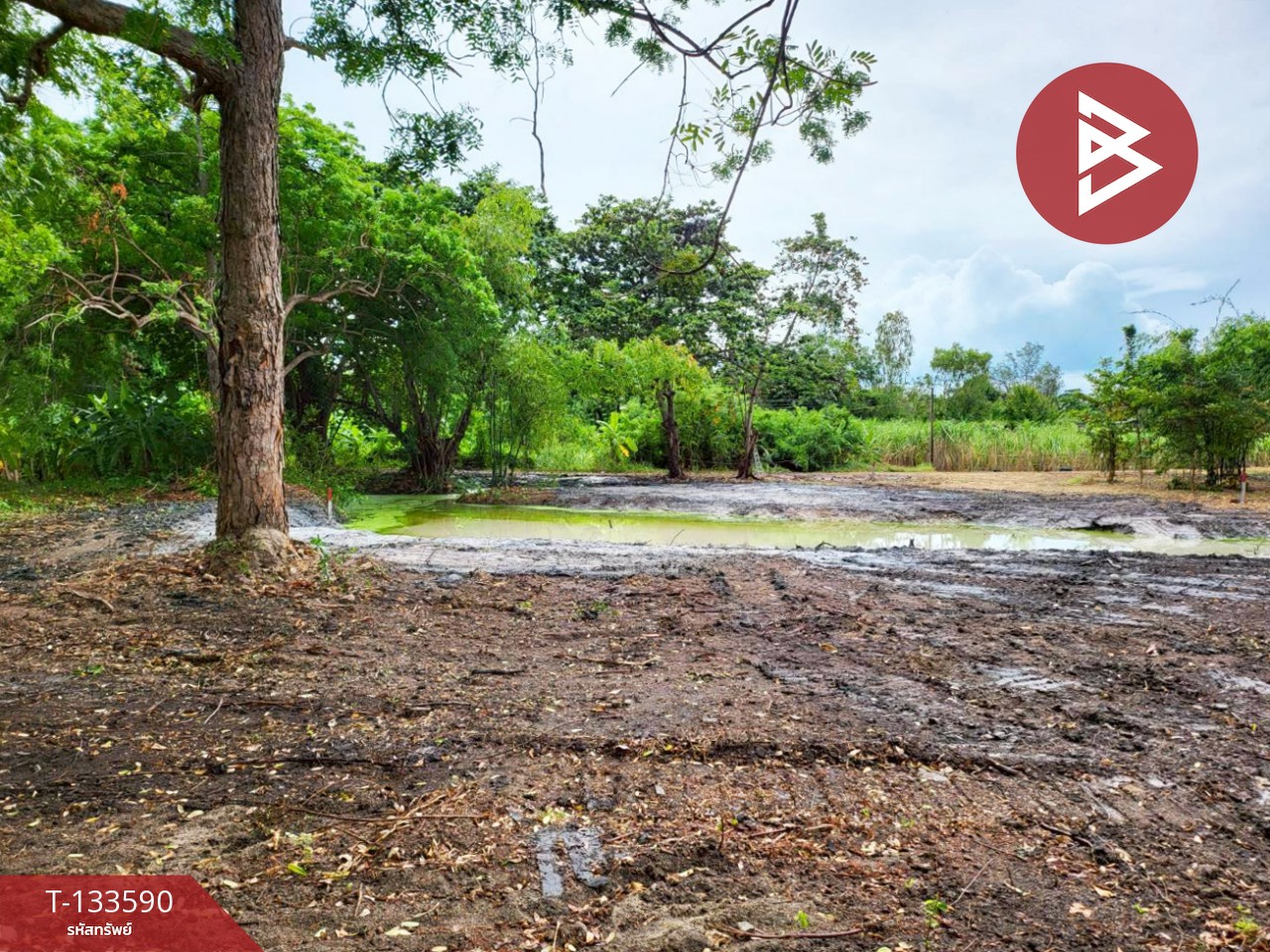 ขายที่ดิน เนื้อที่ 1 ไร่ 51.9 ตารางวา บ้านฉาง ระยอง ติดหาดน้ำริน 1