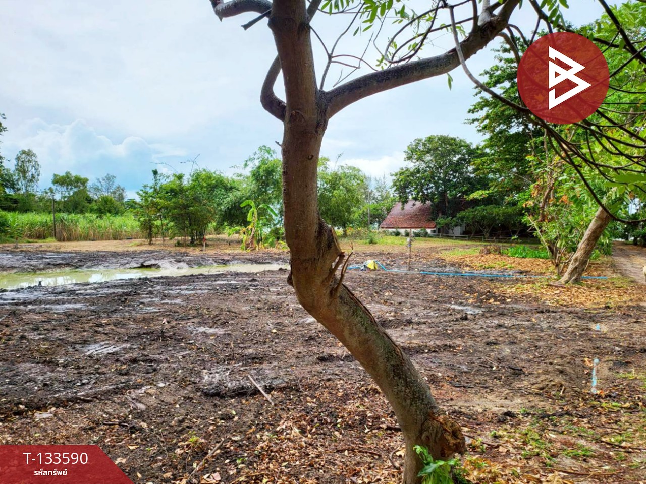 ขายที่ดิน เนื้อที่ 1 ไร่ 51.9 ตารางวา บ้านฉาง ระยอง ติดหาดน้ำริน 5