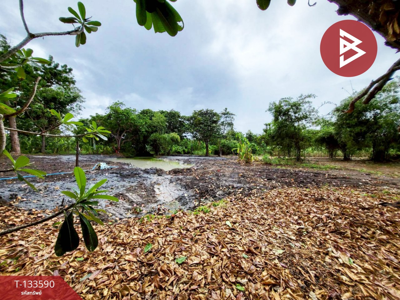 ขายที่ดิน เนื้อที่ 1 ไร่ 51.9 ตารางวา บ้านฉาง ระยอง ติดหาดน้ำริน 3