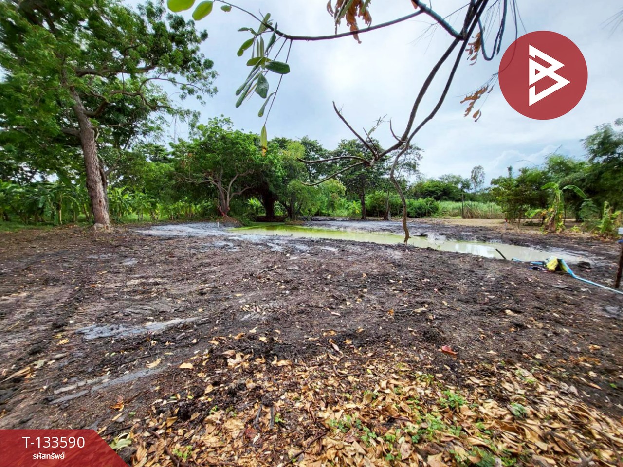 ขายที่ดิน เนื้อที่ 1 ไร่ 51.9 ตารางวา บ้านฉาง ระยอง ติดหาดน้ำริน 2