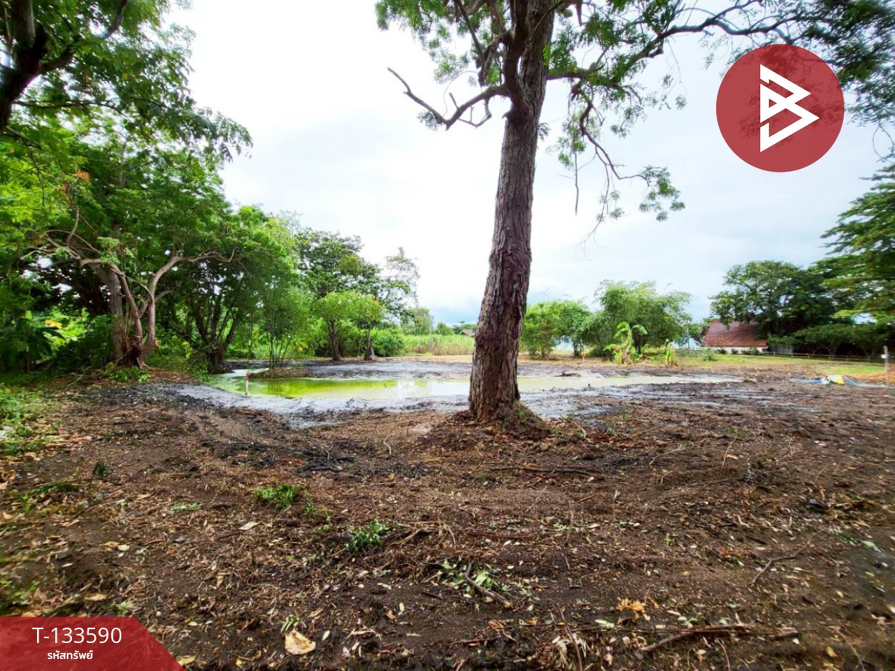 ขายที่ดิน เนื้อที่ 1 ไร่ 51.9 ตารางวา บ้านฉาง ระยอง ติดหาดน้ำริน 4