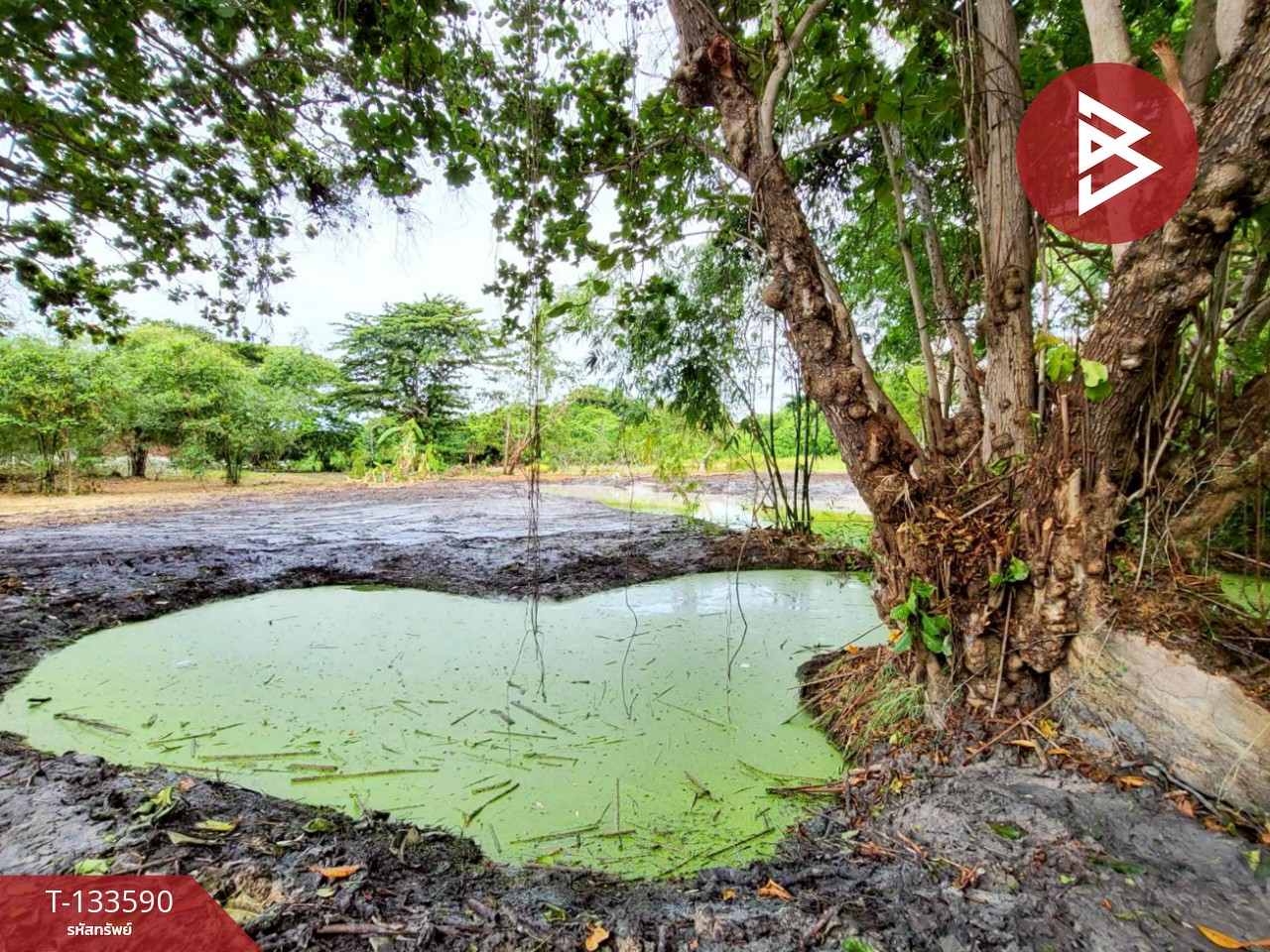 ขายที่ดิน เนื้อที่ 1 ไร่ 51.9 ตารางวา บ้านฉาง ระยอง ติดหาดน้ำริน 7