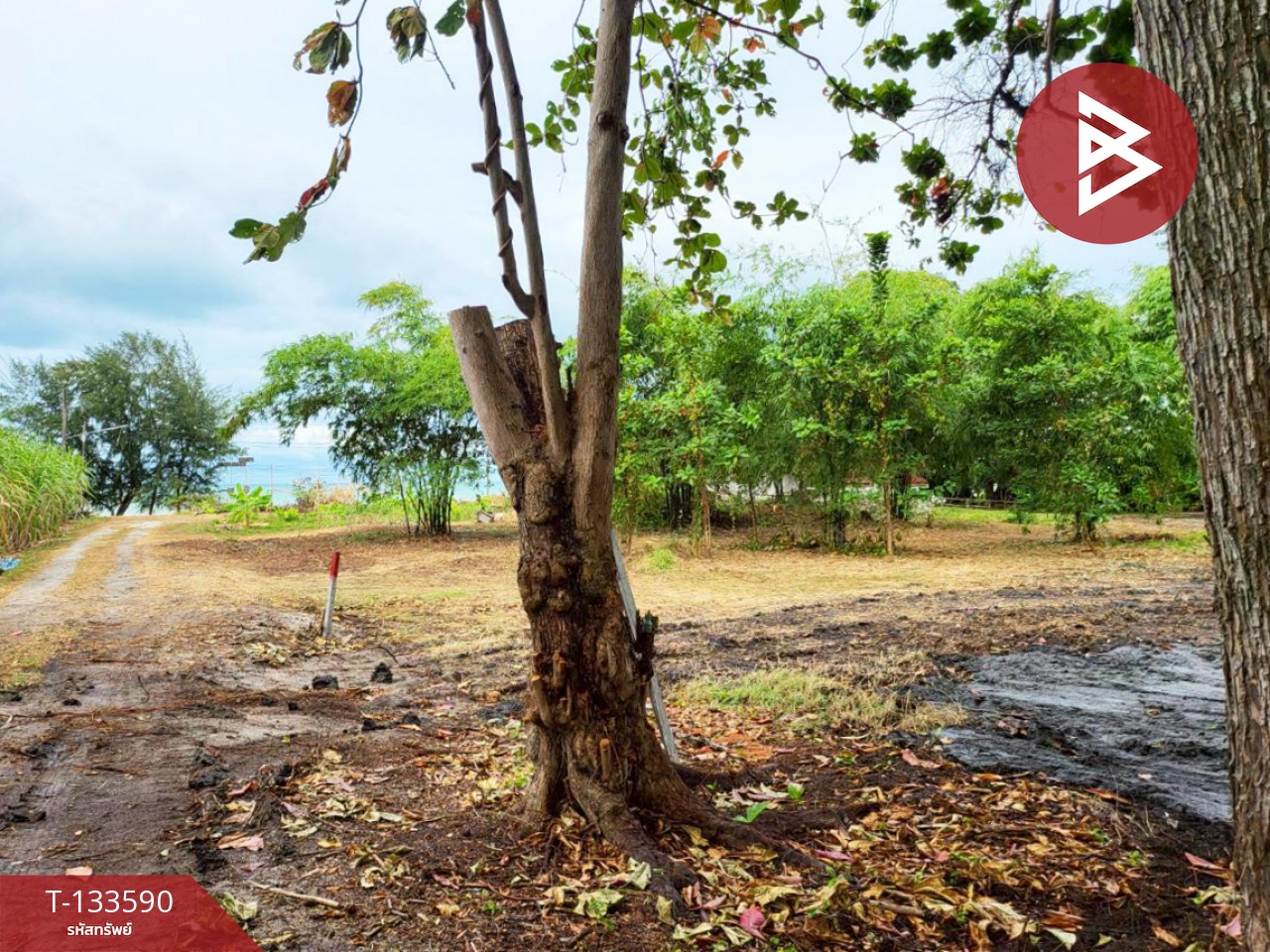 ขายที่ดิน เนื้อที่ 1 ไร่ 51.9 ตารางวา บ้านฉาง ระยอง ติดหาดน้ำริน 6