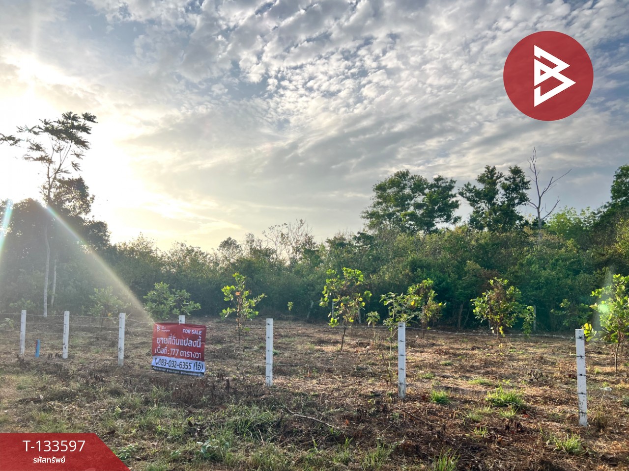 ขายที่ดิน เนื้อที่ 77.7 ตร.วา ถ.สนามบิน-บ้านกลาง หาดใหญ่ สงขลา 8