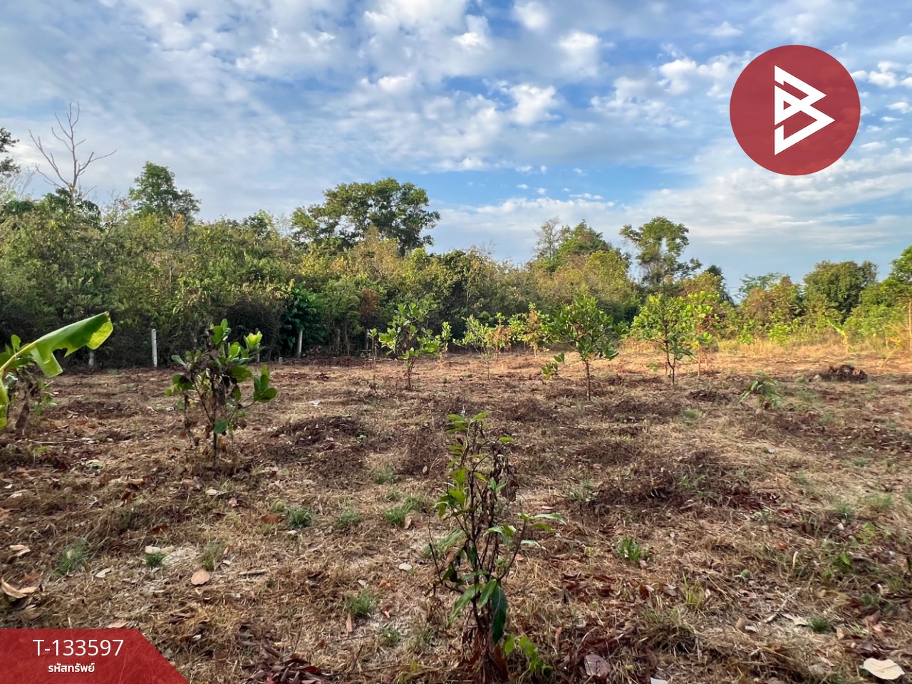 ขายที่ดิน เนื้อที่ 77.7 ตร.วา ถ.สนามบิน-บ้านกลาง หาดใหญ่ สงขลา 5