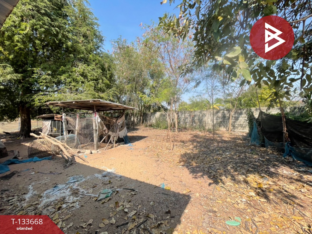 ขายบ้านเดี่ยว เนื้อที่ 3 งาน บ้านไผ่ ขอนแก่น 5