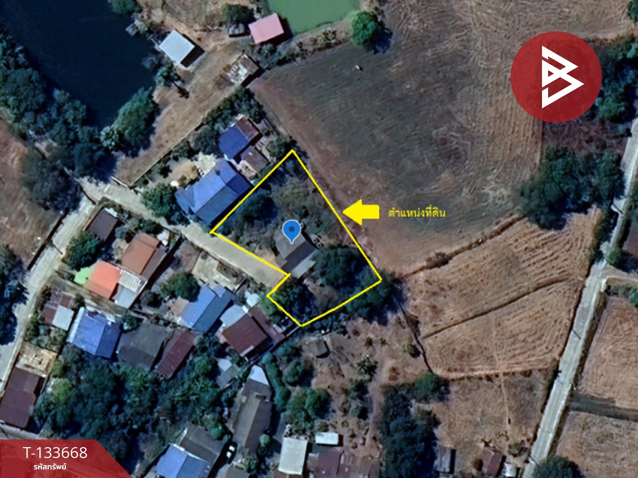 ขายบ้านเดี่ยว เนื้อที่ 3 งาน บ้านไผ่ ขอนแก่น 12