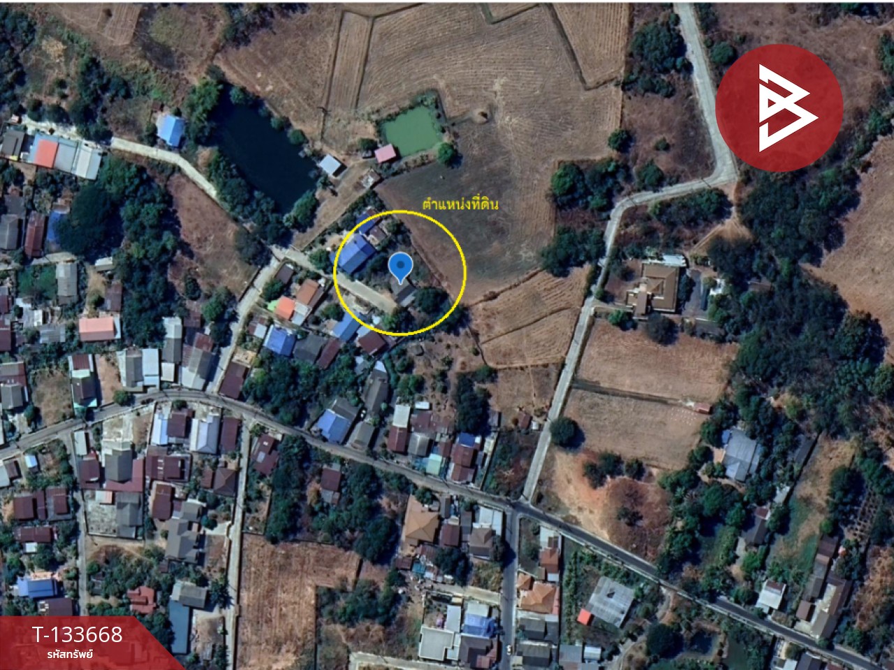 ขายบ้านเดี่ยว เนื้อที่ 3 งาน บ้านไผ่ ขอนแก่น 11