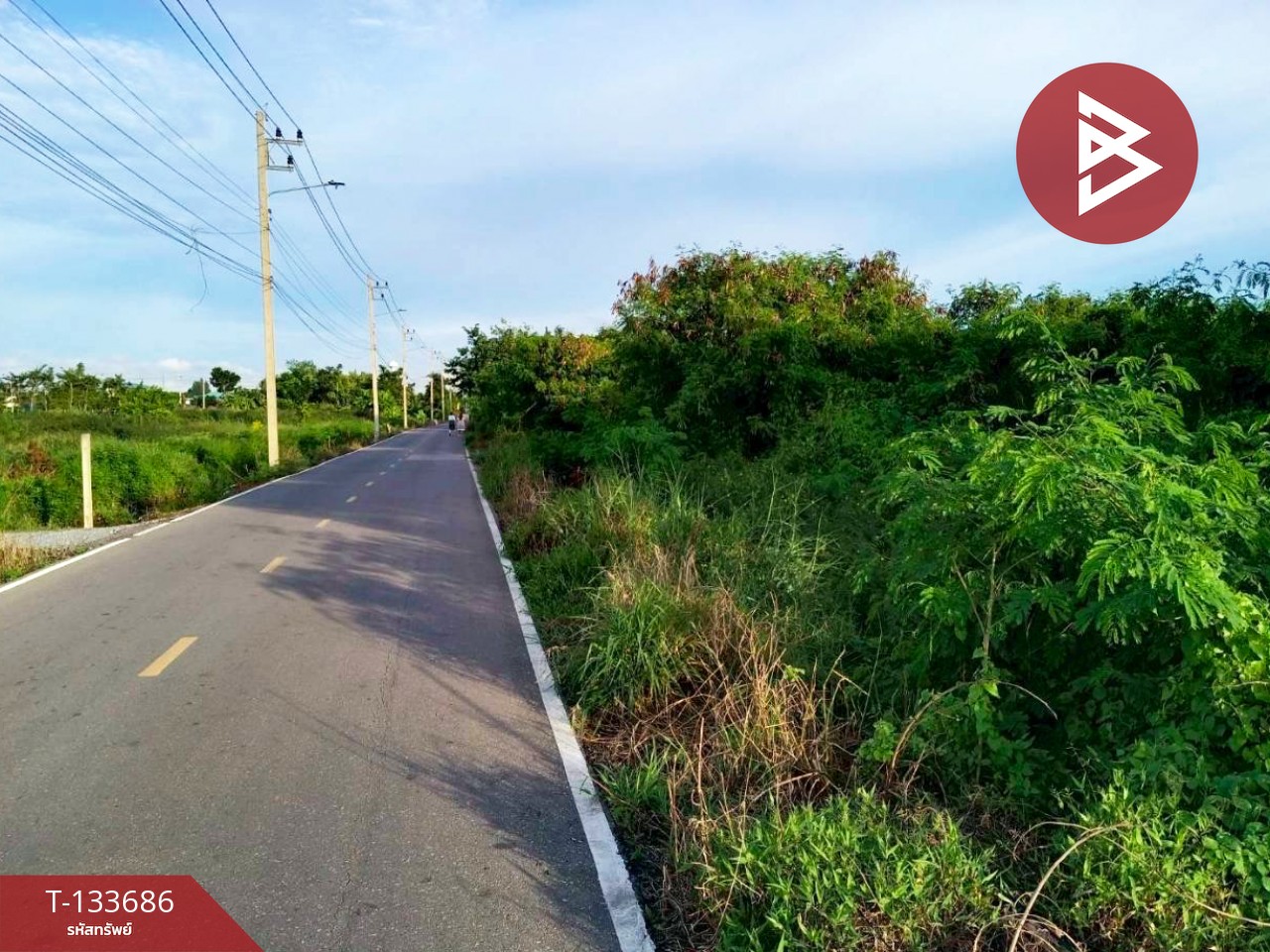 ขายที่ดิน เนื้อที่ 2 ไร่ 2 งาน กระทุ่มแบน สมุทรสาคร 3