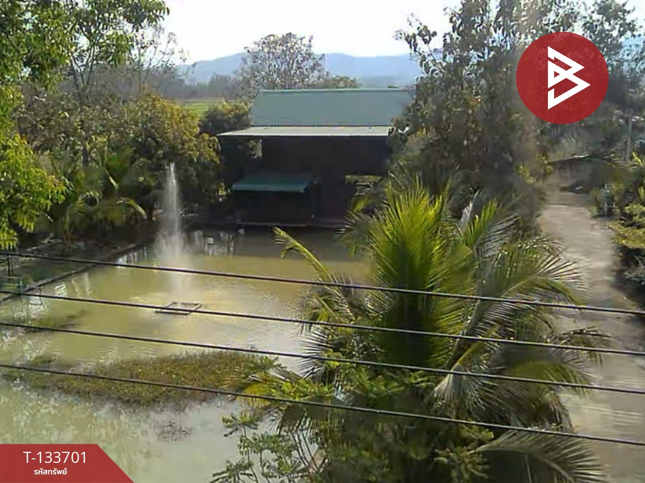 ขายบ้านเดี่ยวพร้อมที่ดิน เนื้อที่ 5 ไร่ 2 งาน 52.6 ตร.วา บ้านธิ ลำพูน 4