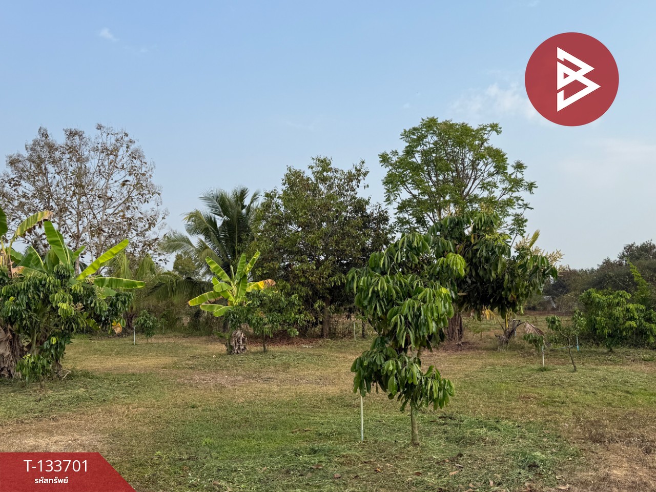 ขายบ้านเดี่ยวพร้อมที่ดิน เนื้อที่ 5 ไร่ 2 งาน 52.6 ตร.วา บ้านธิ ลำพูน 12