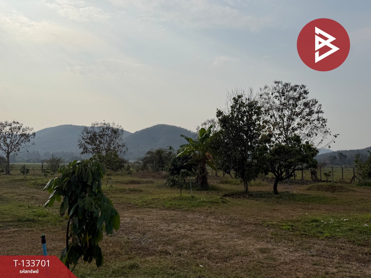 ขายบ้านเดี่ยวพร้อมที่ดิน เนื้อที่ 5 ไร่ 2 งาน 52.6 ตร.วา บ้านธิ ลำพูน 11