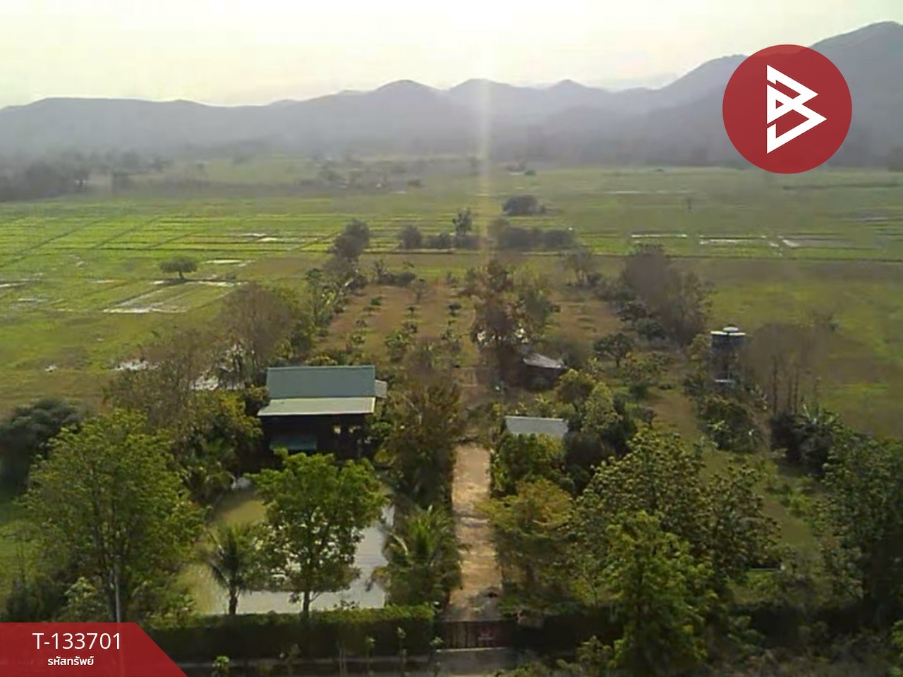 ขายบ้านเดี่ยวพร้อมที่ดิน เนื้อที่ 5 ไร่ 2 งาน 52.6 ตร.วา บ้านธิ ลำพูน 1