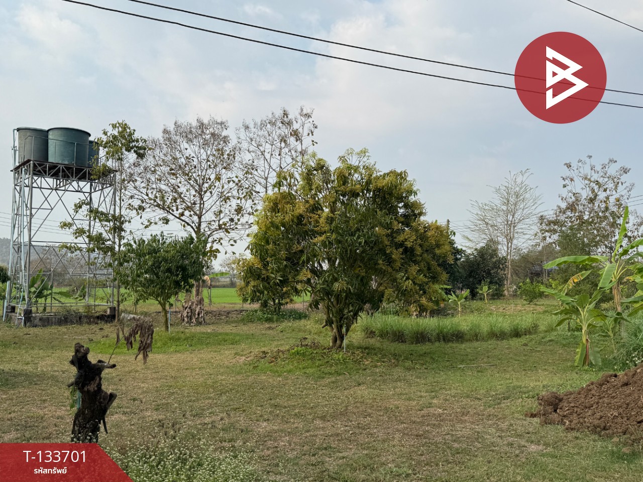 ขายบ้านเดี่ยวพร้อมที่ดิน เนื้อที่ 5 ไร่ 2 งาน 52.6 ตร.วา บ้านธิ ลำพูน 13