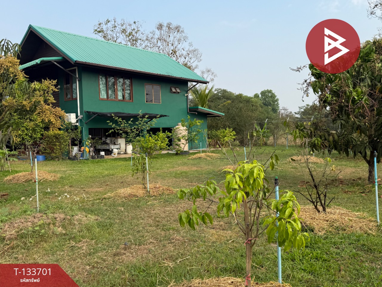 ขายบ้านเดี่ยวพร้อมที่ดิน เนื้อที่ 5 ไร่ 2 งาน 52.6 ตร.วา บ้านธิ ลำพูน 5