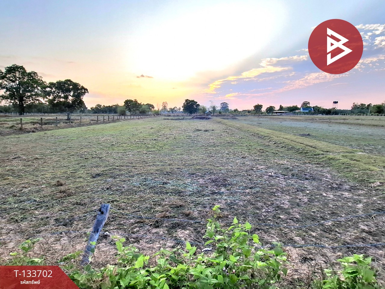 ขายที่ดิน ถ.แจ้งสนิท เนื้อที่ 3 ไร่ 3 งาน 83.5 ตร.วา ดงลาน ร้อยเอ็ด 6