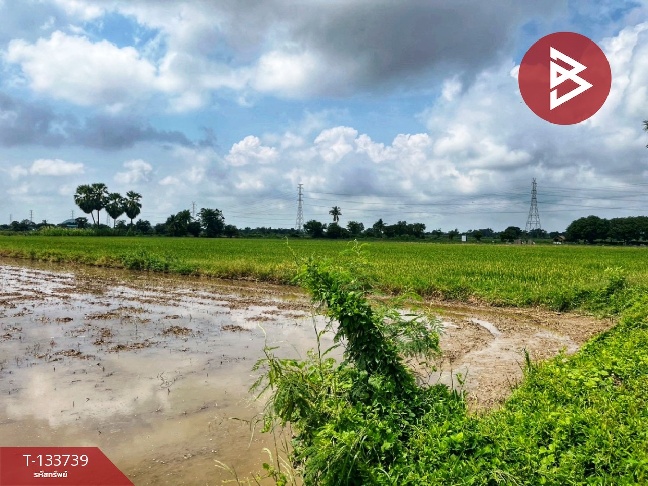 ขายที่ดิน เนื้อที่ 3 ไร่ 1 งาน 5.9 ตร.วา สรรพยา ชัยนาท 5