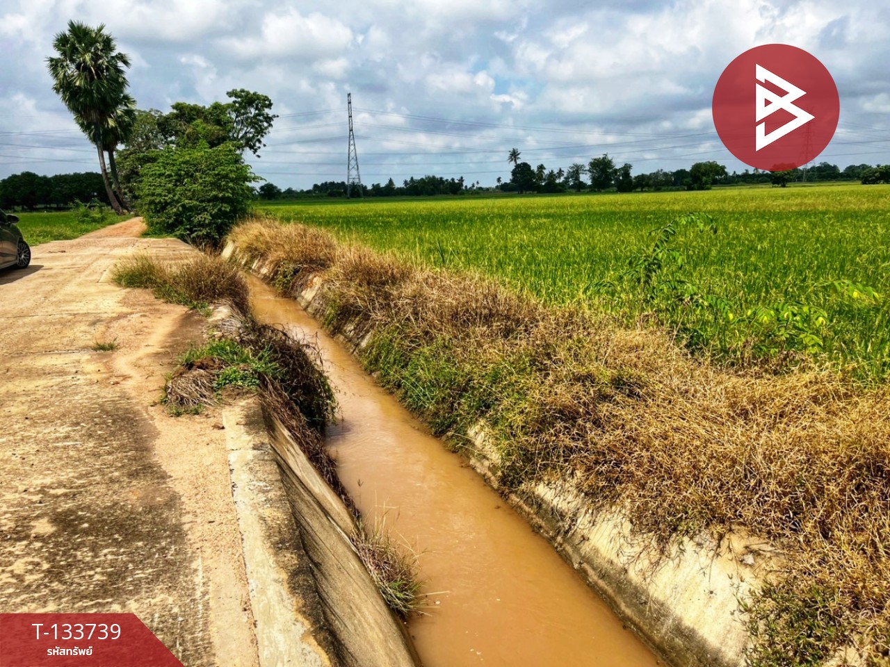 ขายที่ดิน เนื้อที่ 3 ไร่ 1 งาน 5.9 ตร.วา สรรพยา ชัยนาท 8